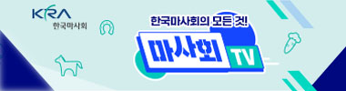 배너