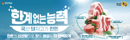 배너