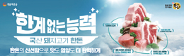 배너