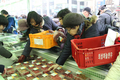 설 맞이 한우 직거래장터 3일 연속 완판