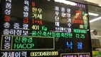 대통령상 수상 한우 최고가 6천만원 낙찰