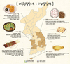 ‘건강한食원정대 4기’ 해단식
