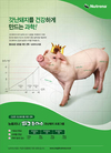 ‘갓난돼지를 건강하게 만드는 1-2-3 캠페인’ 인기몰이