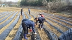 축평원 경기지원, '농촌마을가꾸기' 행사 실시