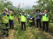 농협 회원경제지원부 임직원, 농번기 일손돕기