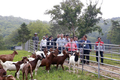 친환경 산지생태축산 국내 적용 가능성 밝아