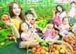 농협, 제철과일 토마토!  특판행사 실시