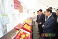 농협, '김영란법' 대비 저비용 농축산물 선물세트 판매