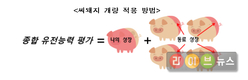 사회성 뛰어난 돼지가 생산성 더 높다