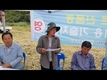 사료작물 분얼형 옥수수(극동6호) 신품종 수확 시연회