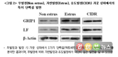 한우암소 발정분비물 이용 수정적기 판별기술 개발