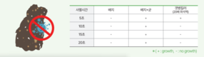40년만에 출시된 전세계 유일한 ’김 붉은갯병‘ 치료제