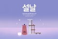 프리미엄 고양이 호텔 오뗄뒤샤 . ‘설날 예약 이벤트’ 진행