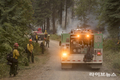 전 세계 대형산불로 몸살…임도 활용한 산불 대응 전략 필요