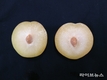 만생종 자두, 지속되는 폭염에 생리장해 우려…철저한 관리 당부