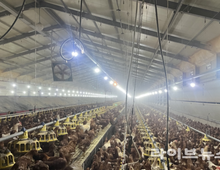 “축산 폭염대응 직접 챙긴다”…농식품부, 전국 순회 현장점검