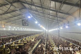 “축산 폭염대응 직접 챙긴다”…농식품부, 전국 순회 현장점검