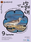 고창갯벌, 멸종위기 철새 청다리도요사촌의 가을 쉼터