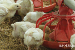 정부 합동 축사 일제점검…“방역 사각지대 해소·재해예방”