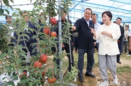 농식품부, 추석 15개 성수품 평시 대비 1.6배 확대 공급