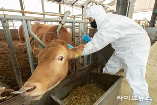 전국 가축방역관 인력난 심각…적정인원 40.6 부족