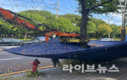 인천시, 은행나무 악취 해결 팔 걷었다…기동대응반 전면 가동