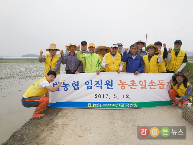 지난 12일 인천 강화군 선원면 연동마을에서 농협경제지주 부천축산물공판장 직원들이 농촌일손돕기 후 기념촬영을 하고있다.