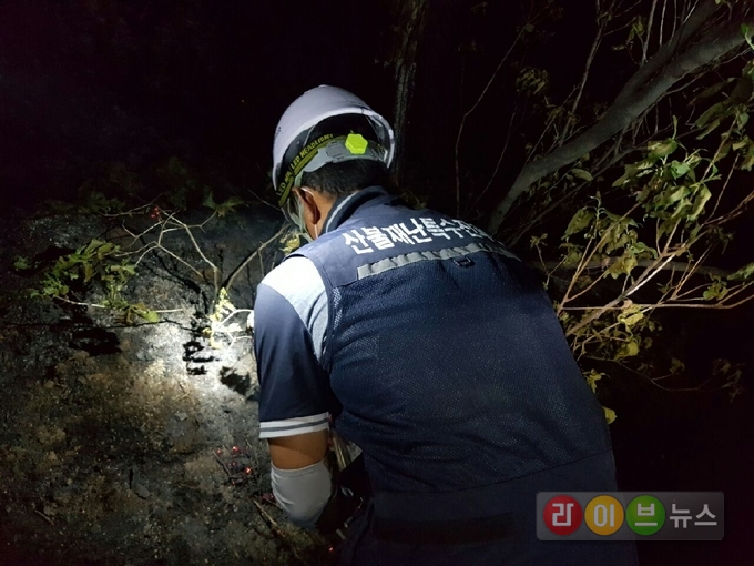 산불재난특수진화 대원들이 2일 서울 노원구 상계동 수락산 안에서 밤새 잔불정리 작업을 하고있다.