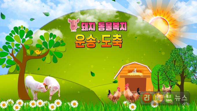 돼지 동물복지 운송, 도축 동영상 화면