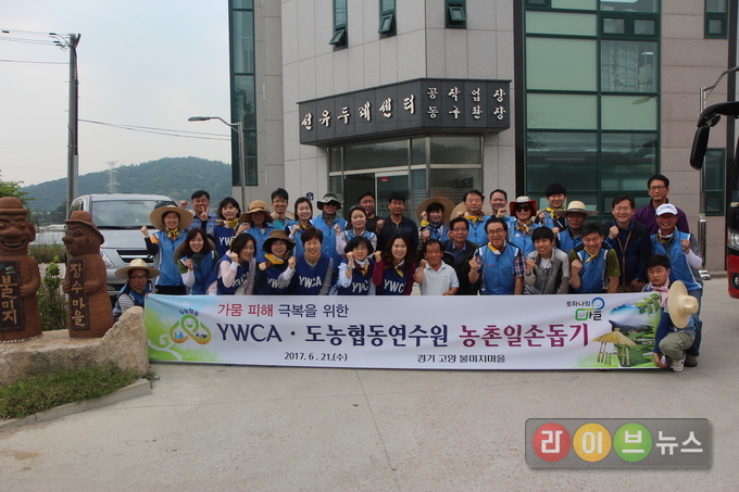 21일 경기 고양 불미지마을에서 농협 도농협동연수원 권갑하 원장과 연수원 직원들이 YWCA 임원들과 함께 가뭄 극복을 위한 농촌일손돕기를 펼치기 전 기념촬영을 하고있다.