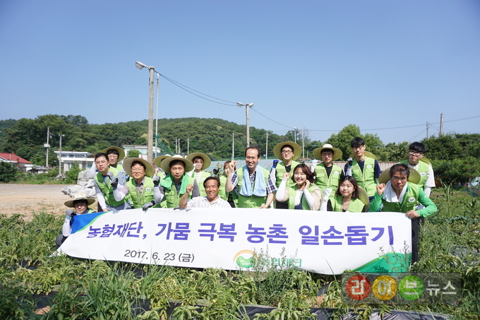 23일 인천 강화군 송해면 하도1리 마을에서 농협재단 김남희 사무총장과 직원 20여명이 가뭄 극복과 영농철 일손부족으로 어려움을 겪고있는 농가를 찾아 일손돕기를 펼치기 전 기념촬영을 하고있다.