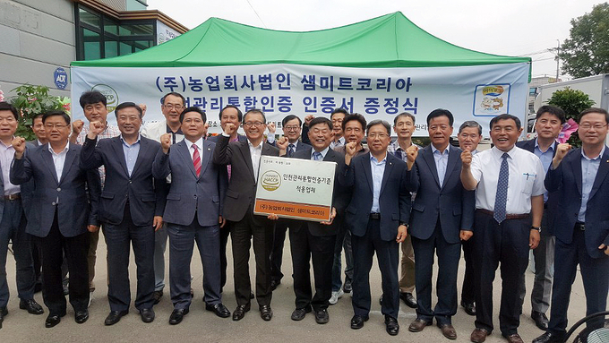 황금미트 이미지