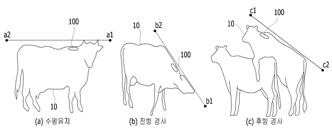 소의 승가 행동의 판정 기준을 설명하기 위한 개략도