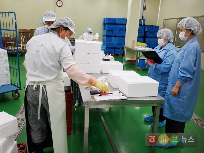 농협은 새학기 안전한 학교급식 식재료 공급을 위해 전국 54개 농협 학교급식사업장을 집중 점검했다. 지난 18일 충남 당진시 농협해나루 학교급식지원센터에서 농협식품연구원 관계자가 급식용 식재료를 특별 점검하고 있다.