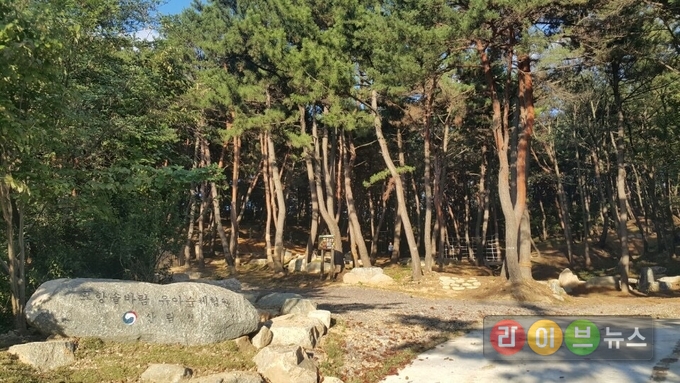 경북 포항시 `포항솔바람 유아숲체험원` 전경