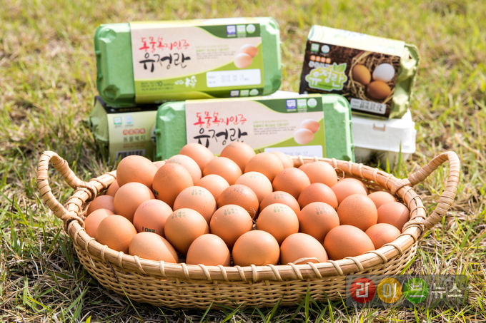 시판 중인 동물복지인증 달걀