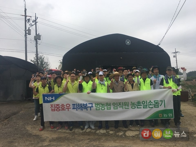 농협 임직원 100여명은 집중호우 피해를 입은 경기도 이천 시설하우스농가를 찾아 찾아 재해복구 지원을 돕는 등 구슬땀을 흘렸다.