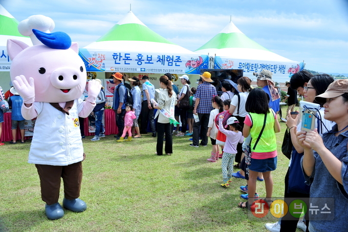 지난 8일, 전남 무안군 해제면 무안황토갯벌랜드에서 열린 ‘무안황토갯벌축제’에서 축제 관람객들이 한돈자조금이 마련한 이벤트에 참여하기 위해 줄을 길게 서 있다. 한편 이날 한돈자조금은 한돈요리 시식회를 비롯해 다양한 행사와 이벤트를 열어 축제의 열기를 더했다.