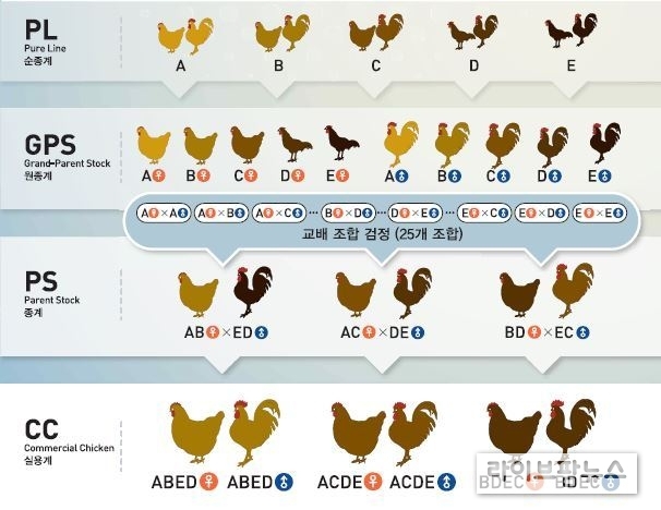 골든시드프로젝트 종계 개발 체계도 