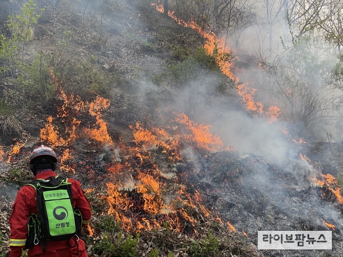 산림청 산림항공본부는 부처님 오신날부터 어린이날까지 이어지는 징검다리 연휴기간동안 산불 초기진화를 위해 본부 및 전국 11개 산림항공관리소 48대의 산림헬기를 모두 가동하는 비상대기 태세에 들어갈 방침이다.