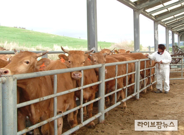 농림축산검역본부는 전국 구제역 정밀진단기관 9개소을 대상으로 구제역 정밀진단기관의 정밀진단능력을 진단한 결과 모두 적합 판정을 받았다고 밝혔다.