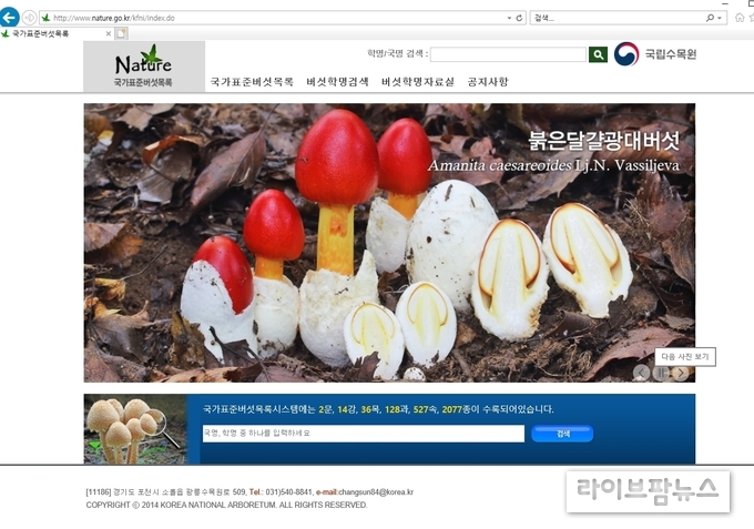 국가표준버섯목록 메인화면