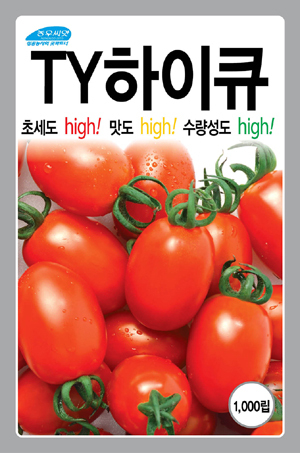 TY하이큐