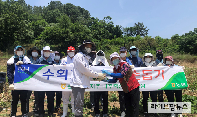 농협 나주축산물공판장 임직원 16명은 4일 전남 무안군 양파재배농가를 방문해 양파를 수확하고 포장, 운반하는 일까지 도왔다. 또한 개인 방역용 마스크와 손 소독제도 전달했다.