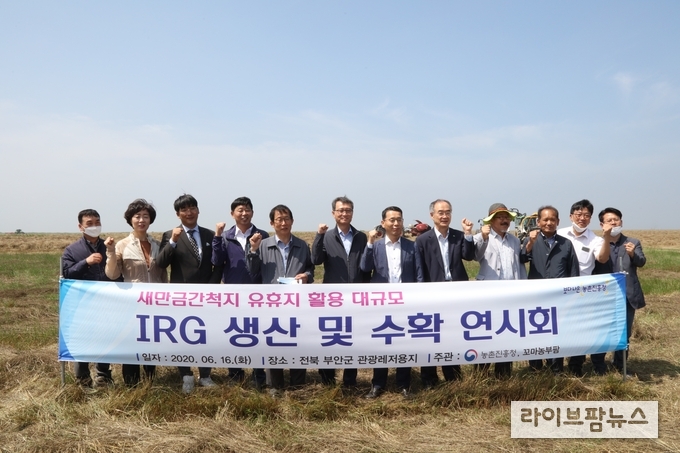 농촌진흥청은 16일 전북 부안에서 새만금 간척지의 대규모 유휴지에서 농기계를 이용한 풀사료 생산시스템의 효율성을 평가하기 위한 수확 연시회를 열고 농업인의 소득 향상을 위한 간척지 활용 방안을 논의한다.