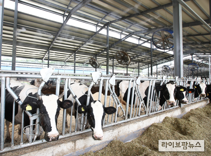 농식품부는 지자체와 협력하여 선정한 축산악취 농가 1,070곳 대상으로 축산악취 및 가축분뇨처리 등 집중 점검에 나서기로 했다.