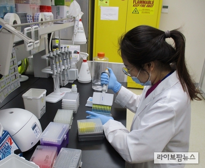 농림축산검역본부는 지난 6월 16일 세계동물보건기구(OIE)에서 인수공통전염병인 조류인플루엔자 OIE 표준실험실로 인증받았다. 이로써 소 브루셀라병 등 모두 8개 OIE 표준실험실 보유해 아시아에서 단일 기관으로 최대로 운영하게 됐다.