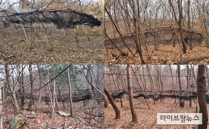 원격조정 포획장 설치 모습