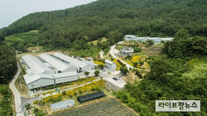의령농원은 낙동강과 남강이 만나는 경상남도 의령군에 위치해있다. 주변엔 소나무가 가득한 자굴산과 철새가 없는 낙동강에 둘러싸였다 하늘에서 본 의령농원의 전경.
