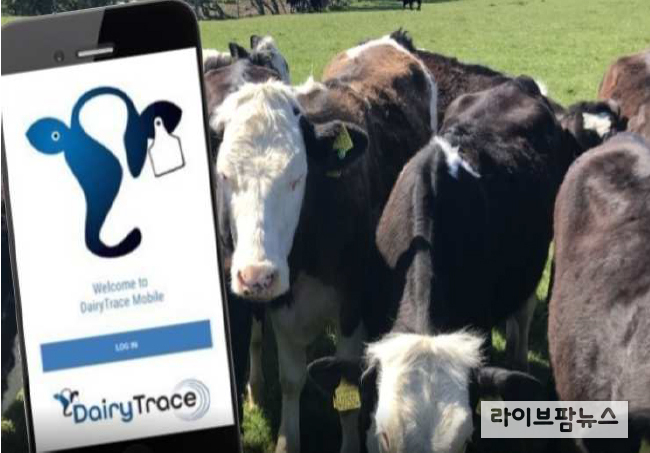 캐나다 는 올 가을쯤 젖소 이력추적 프로그램인 ‘Dairy Trace’를 구축할 예정이라고 전했다.